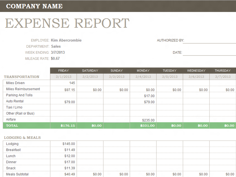 Expenditure Report Template