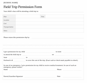 overnight trip permission slip