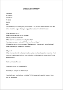 Executive Summary Template 04