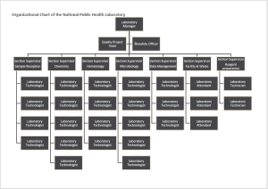 organogram template 03