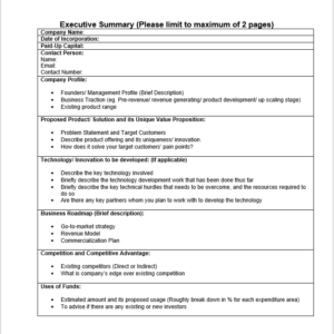 Executive Summary Template 29